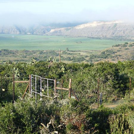 Kudu Ridge Game Lodge Addo Exteriér fotografie