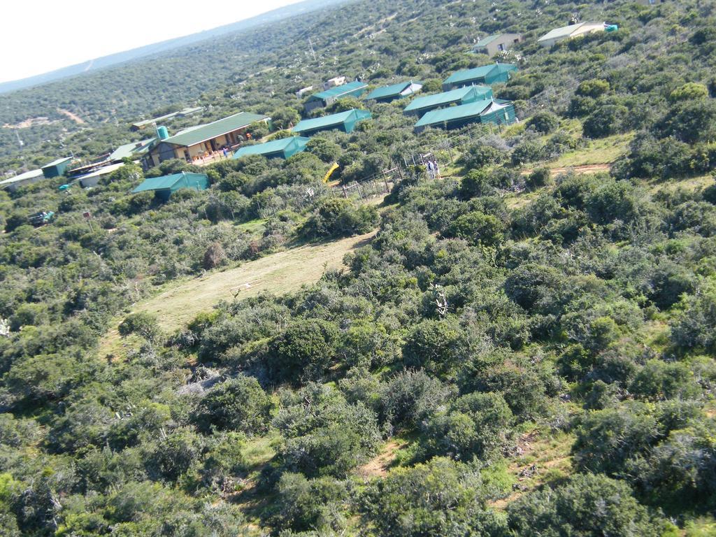 Kudu Ridge Game Lodge Addo Exteriér fotografie