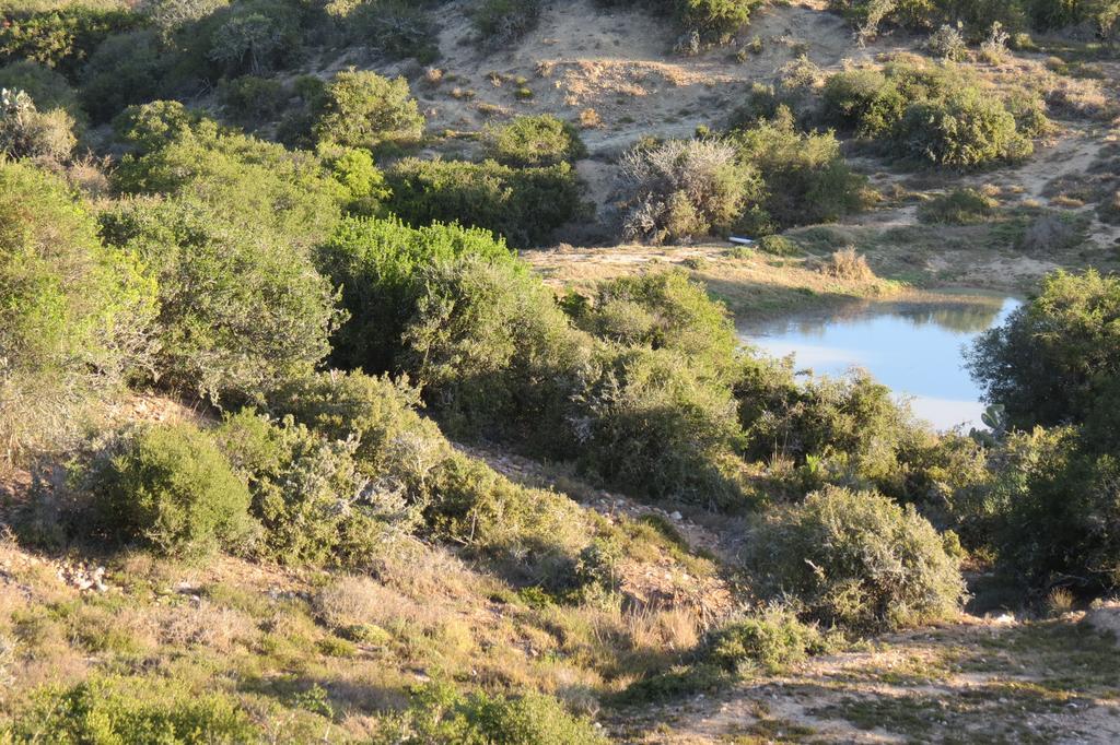 Kudu Ridge Game Lodge Addo Exteriér fotografie