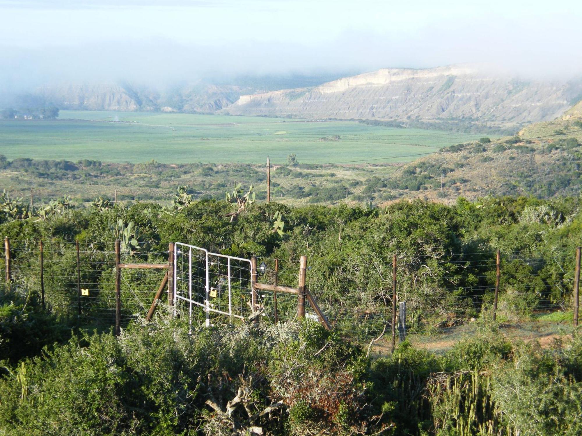 Kudu Ridge Game Lodge Addo Exteriér fotografie