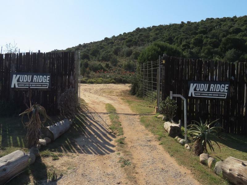 Kudu Ridge Game Lodge Addo Exteriér fotografie